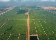 THACO AGRI kiến tạo chuỗi giá trị nông nghiệp xanh giữa lòng Đông Dương