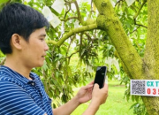 Công nghệ là chìa khóa tái cơ cấu nông nghiệp hiệu quả