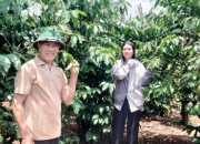 Doanh nghiệp và nông dân Gia Lai hợp tác sản xuất cà phê bền vững