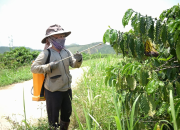 Ngăn chặn nguy cơ kim loại nặng trong nông nghiệp