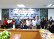 WASI chuyển giao 30 triệu cây giống cà phê cho Tập đoàn Hoàng Anh Gia Lai