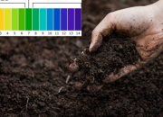 Cách xem tính chất của đất trồng thông qua độ pH của đất