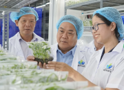 TP.HCM kiện toàn lực lượng khuyến nông, bám sát nông nghiệp đô thị