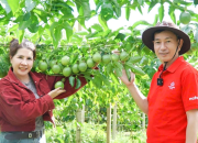 Phát triển vùng nguyên liệu bền vững các nông sản chủ lực