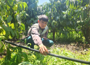 Điện năng lượng mặt trời ‘tiếp sức’ nông dân mùa tưới cà phê