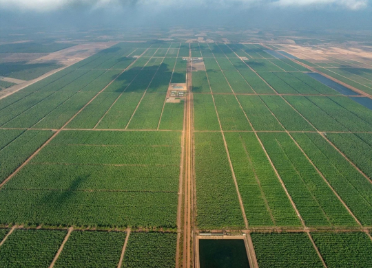 THACO AGRI kiến tạo chuỗi giá trị nông nghiệp xanh giữa lòng Đông Dương