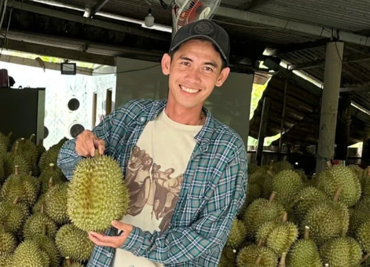 Cấp thiết siết chặt quản lý vùng trồng ở 'xứ sở sầu riêng' miền Tây