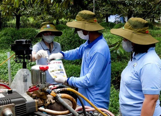 Chủ động quản lý nhện đỏ trên sầu riêng mùa nắng nóng