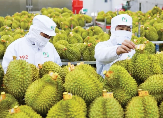 Hệ thống truy xuất nguồn gốc nâng tầm vị thế nông sản Việt