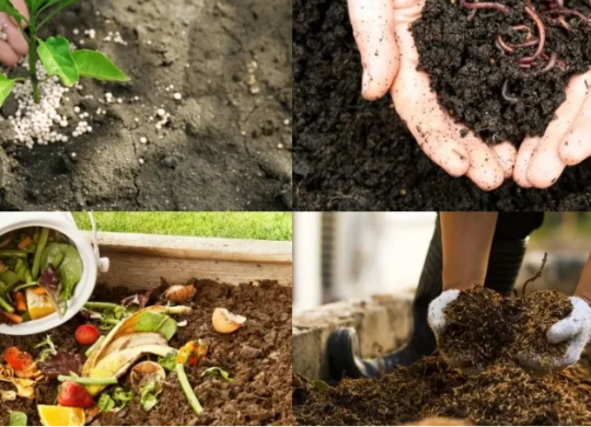 Thị trường phân bón đa dạng. Chúng ta nên lựa chọn loại phân bón hữu cơ nào ?